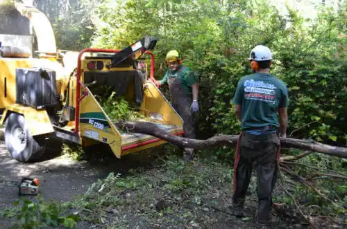 tree services Gresham Park